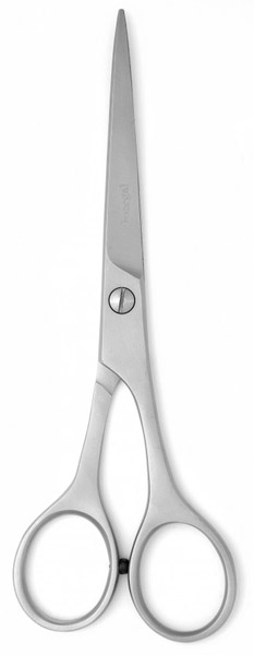 Eyebrow Scissors
