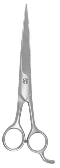 Hair Dressing Scissors
