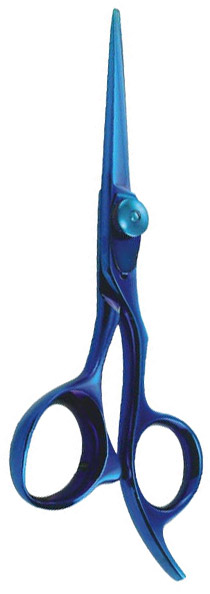 Hair Dressing Scissors