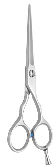 Professional Hair Cutting Scissors