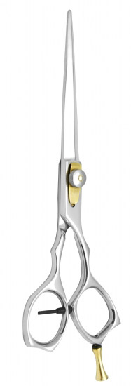 Professional Hair Cutting Scissors