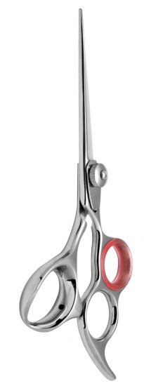 Professional Hair Cutting Scissors