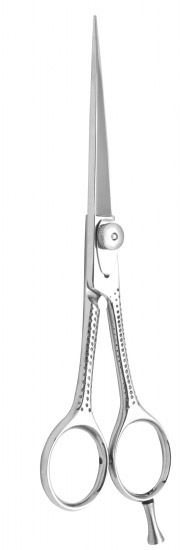 Professional Hair Cutting Scissors