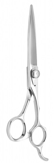 Professional Hair Cutting Scissors