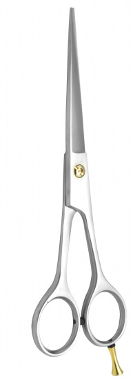 Professional Hair Cutting Scissors