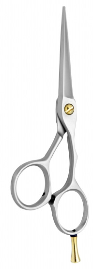 Professional Hair Cutting Scissors