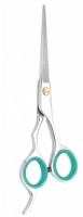 Professional Hair Cutting Scissors