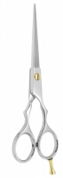 Professional Hair Cutting Scissors