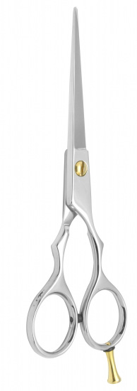 Professional Hair Cutting Scissors