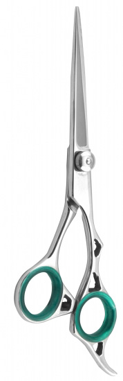 Professional Hair Cutting Scissors