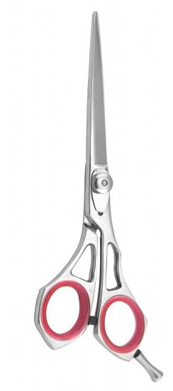 Professional Hair Cutting Scissors