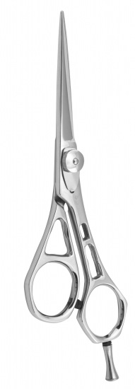 Professional Hair Cutting Scissors