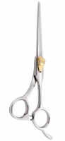 Professional Hair Cutting Scissors