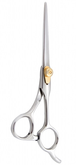 Professional Hair Cutting Scissors