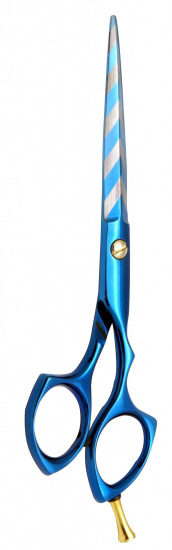 Professional Hair Cutting Scissors