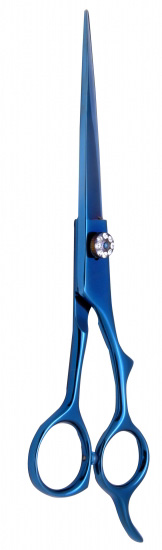 Professional Hair Cutting Scissors