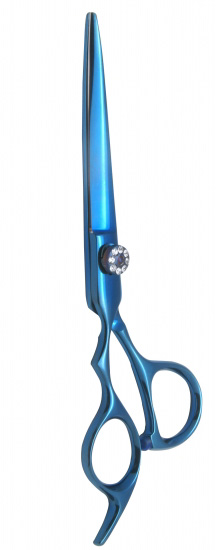 Professional Hair Cutting Scissors