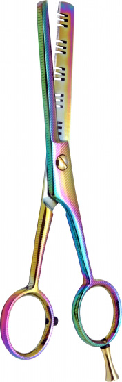 Professional Thinning Scissors