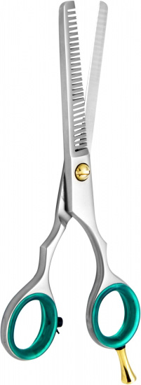 Professional Thinning Scissors