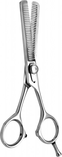 Professional Thinning Scissors